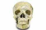 Realistic, Polished Yellow Turquoise Jasper Skull - Magnetic #378615-1